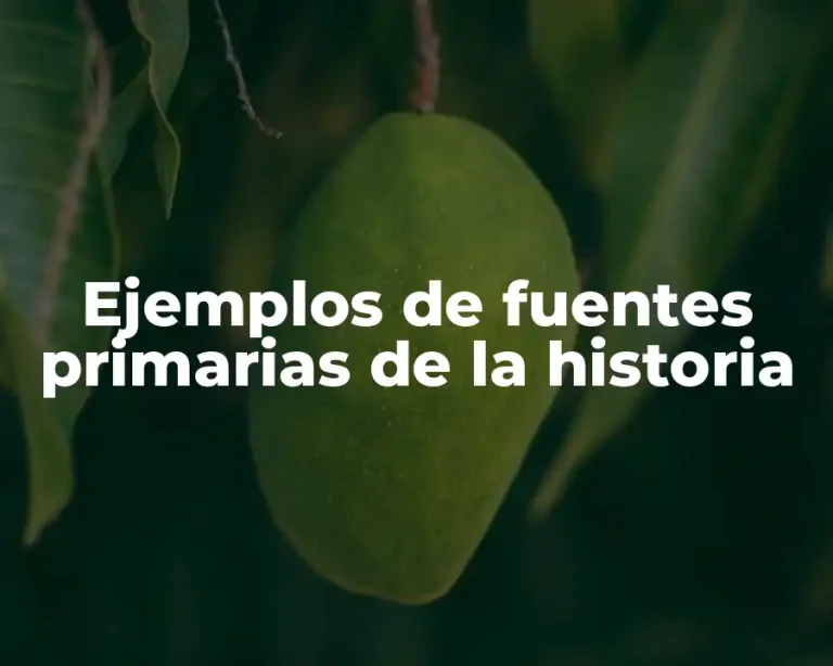 Ejemplos de fuentes primarias de la historia