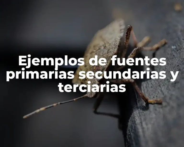 Ejemplos de fuentes primarias secundarias y terciarias
