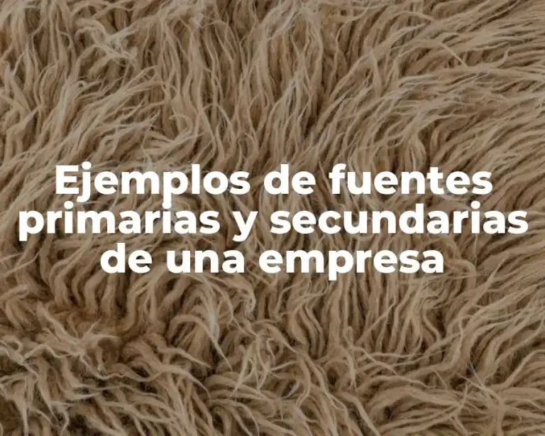 Ejemplos de fuentes primarias y secundarias de una empresa