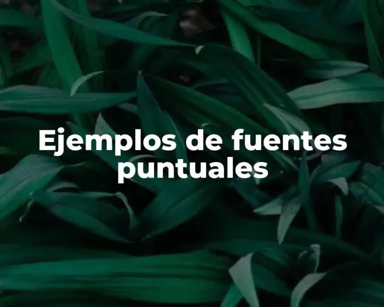 Ejemplos de fuentes puntuales
