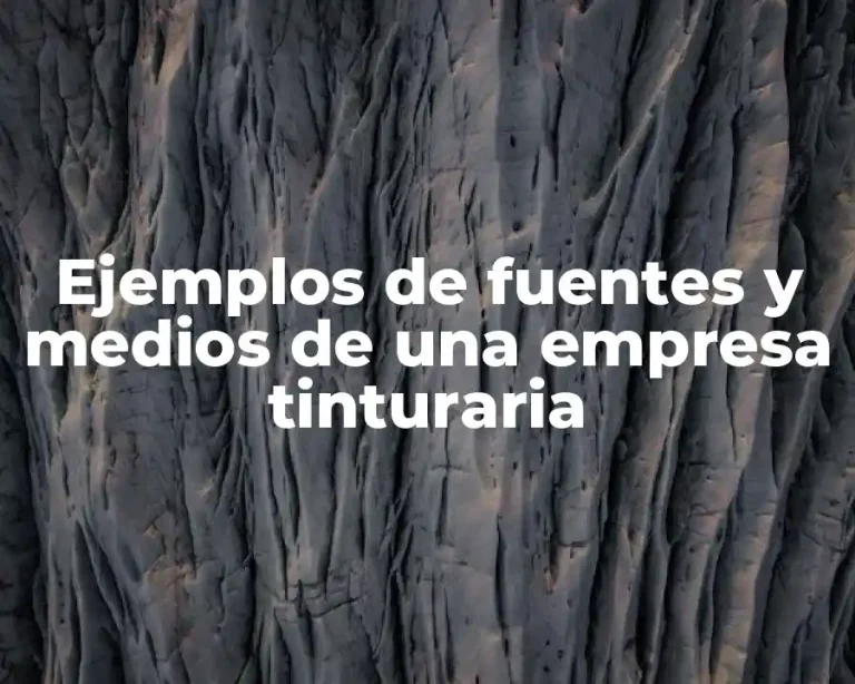 Ejemplos de fuentes y medios de una empresa tinturaria