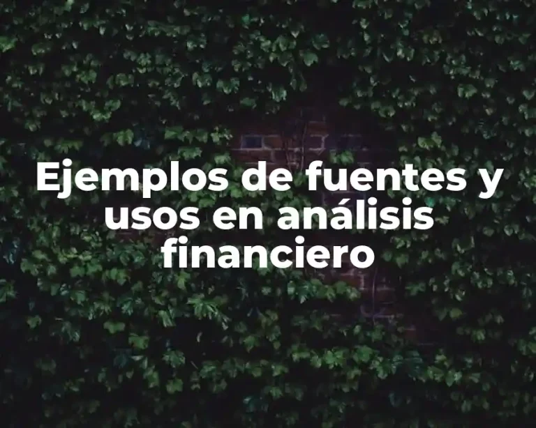 Ejemplos de fuentes y usos en análisis financiero