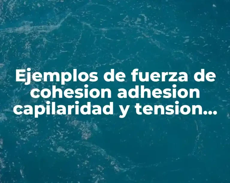 Ejemplos de fuerza de cohesion adhesion capilaridad y tension superficial
