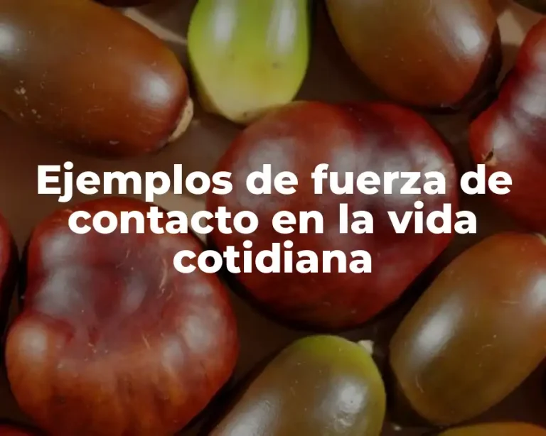 Ejemplos de fuerza de contacto en la vida cotidiana
