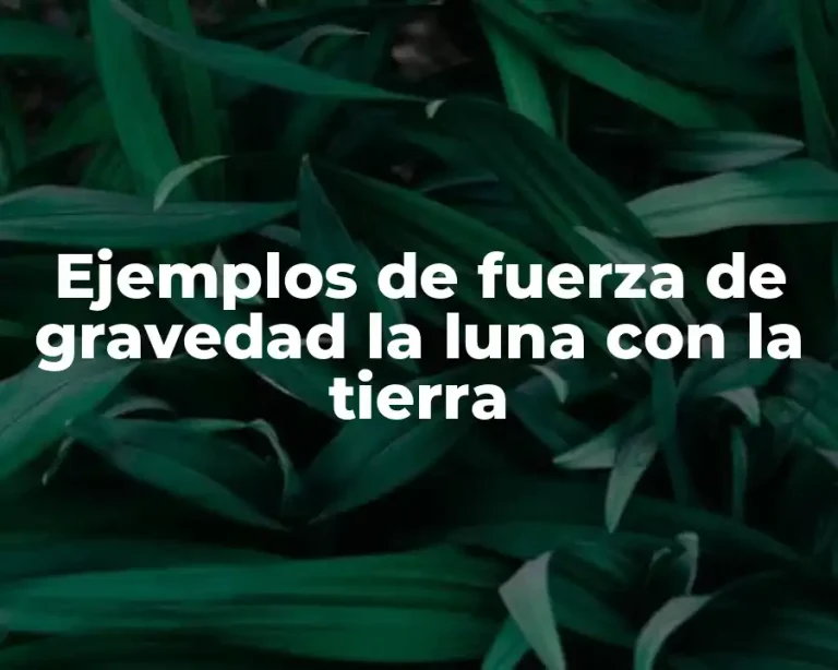 Ejemplos de fuerza de gravedad la luna con la tierra