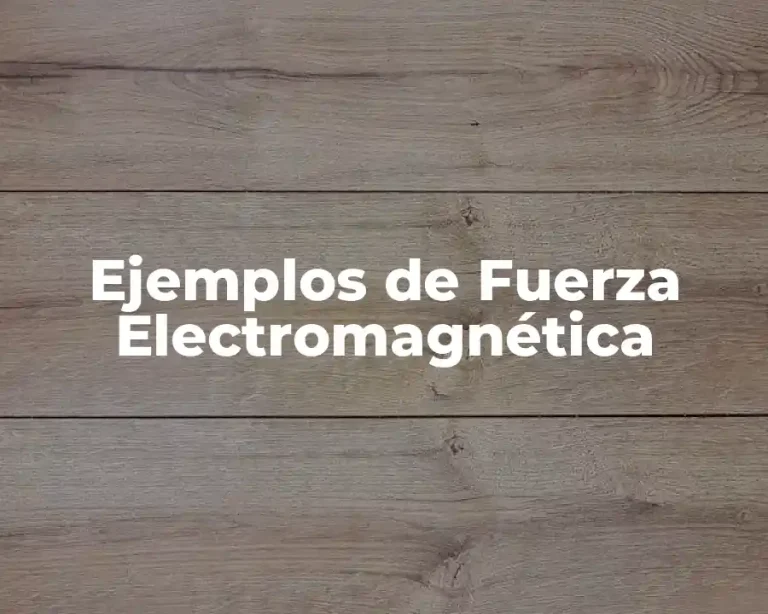 Ejemplos de Fuerza Electromagnética