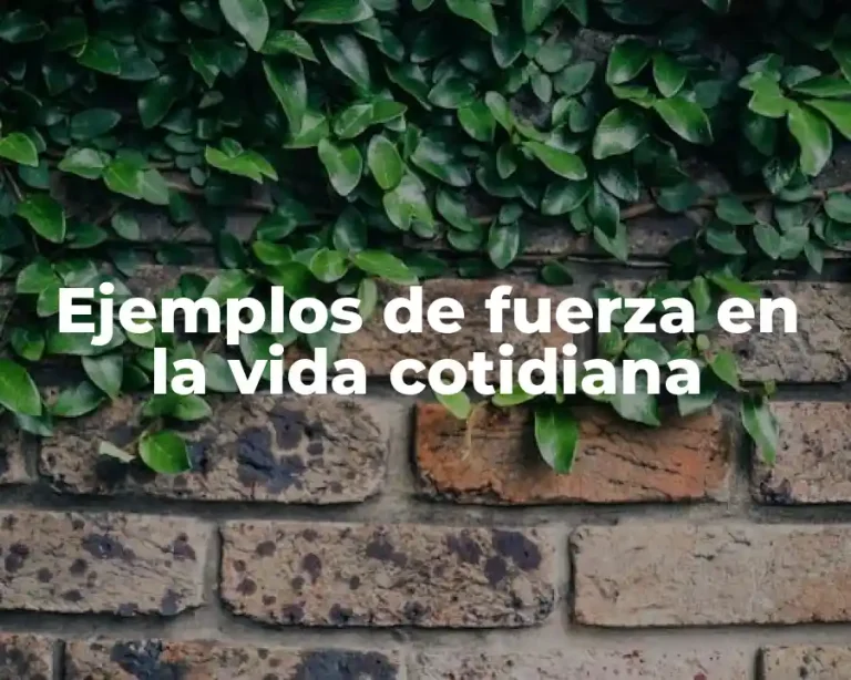 Ejemplos de fuerza en la vida cotidiana