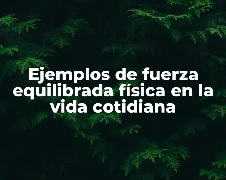 Ejemplos de fuerza equilibrada física en la vida cotidiana