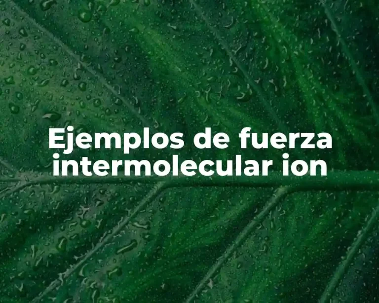 Ejemplos de fuerza intermolecular ion