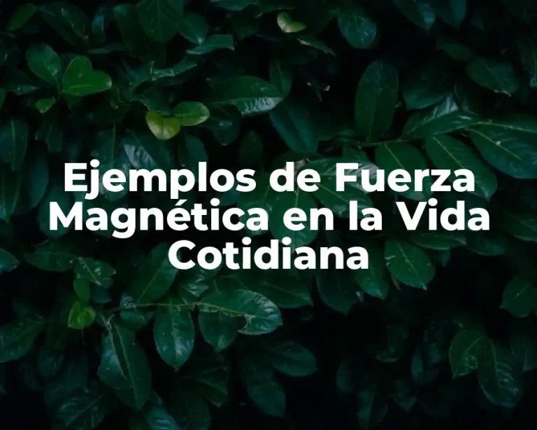 Ejemplos de Fuerza Magnética en la Vida Cotidiana