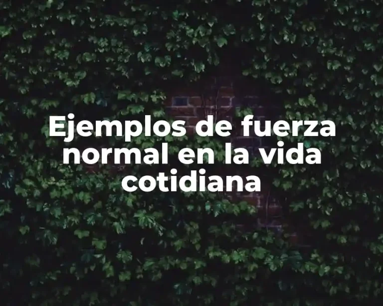 Ejemplos de fuerza normal en la vida cotidiana