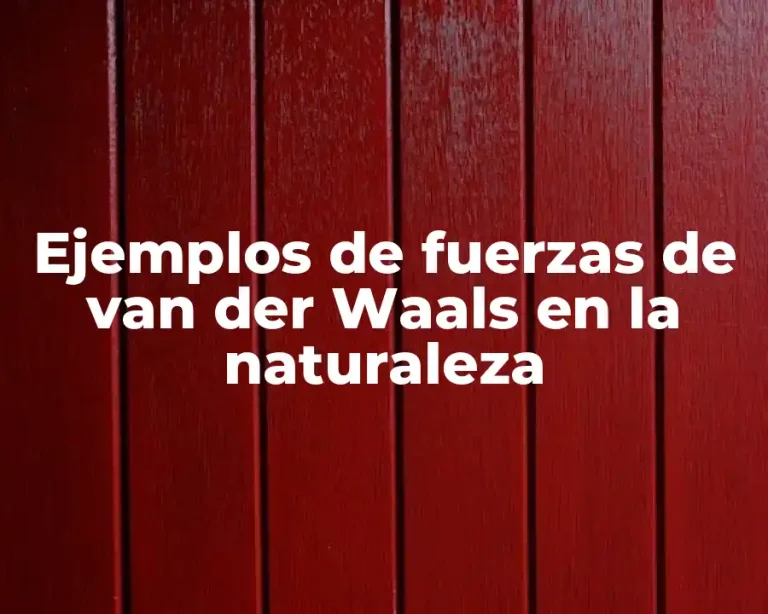 Ejemplos de fuerzas de van der Waals en la naturaleza