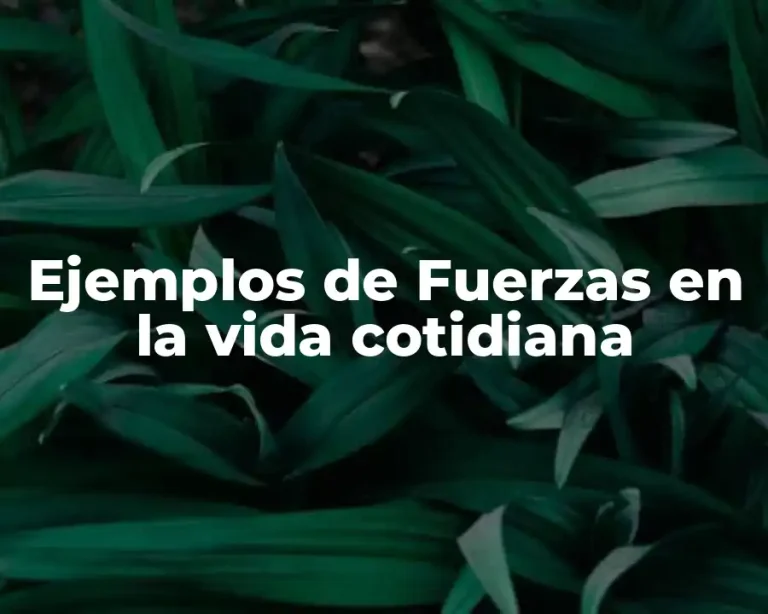 Ejemplos de Fuerzas en la vida cotidiana