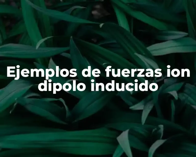 Ejemplos de fuerzas ion dipolo inducido