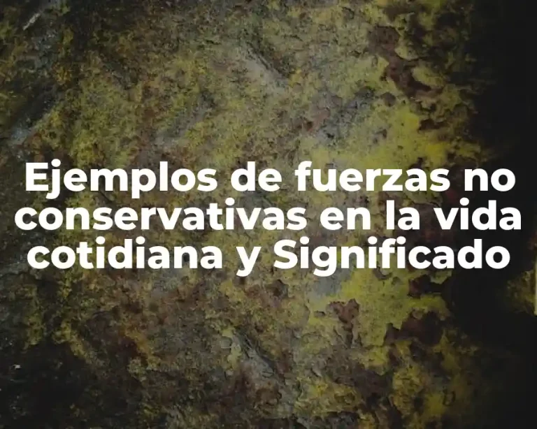 Ejemplos de fuerzas no conservativas en la vida cotidiana y Significado