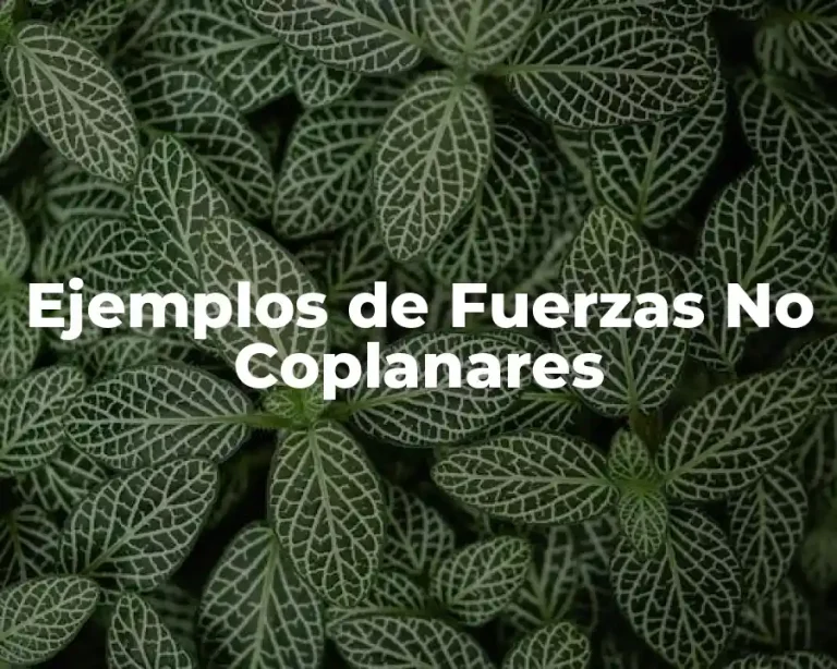 Ejemplos de Fuerzas No Coplanares