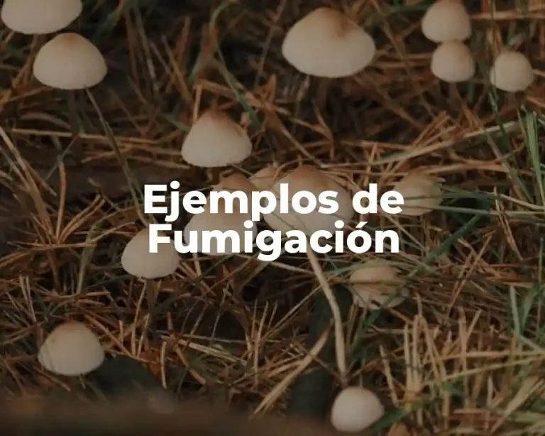 Ejemplos de Fumigación