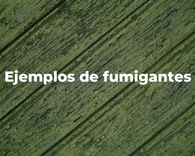 Ejemplos de fumigantes