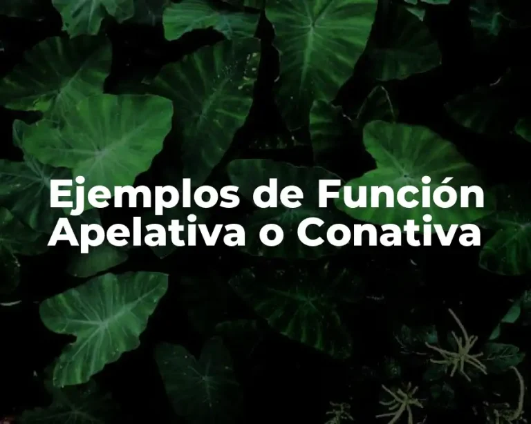 Ejemplos de Función Apelativa o Conativa