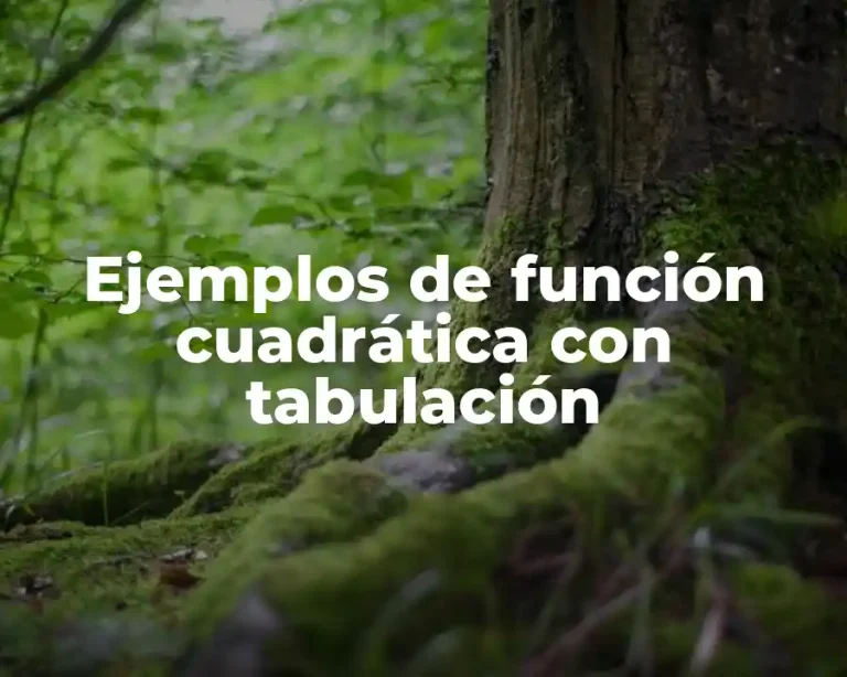 Ejemplos de función cuadrática con tabulación