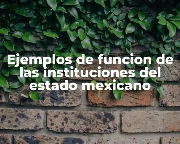 Ejemplos de funcion de las instituciones del estado mexicano