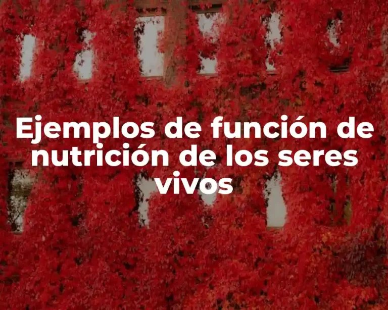 Ejemplos de función de nutrición de los seres vivos