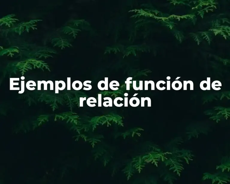 Ejemplos de función de relación