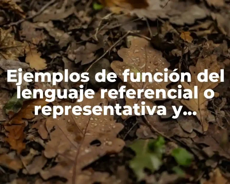 Ejemplos de función del lenguaje referencial o representativa y Significado
