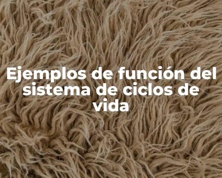Ejemplos de función del sistema de ciclos de vida