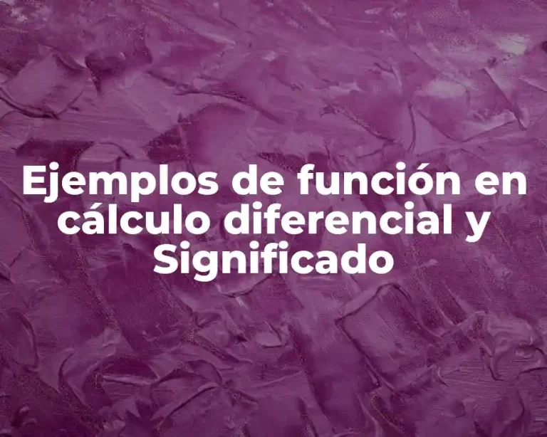 Ejemplos de función en cálculo diferencial y Significado