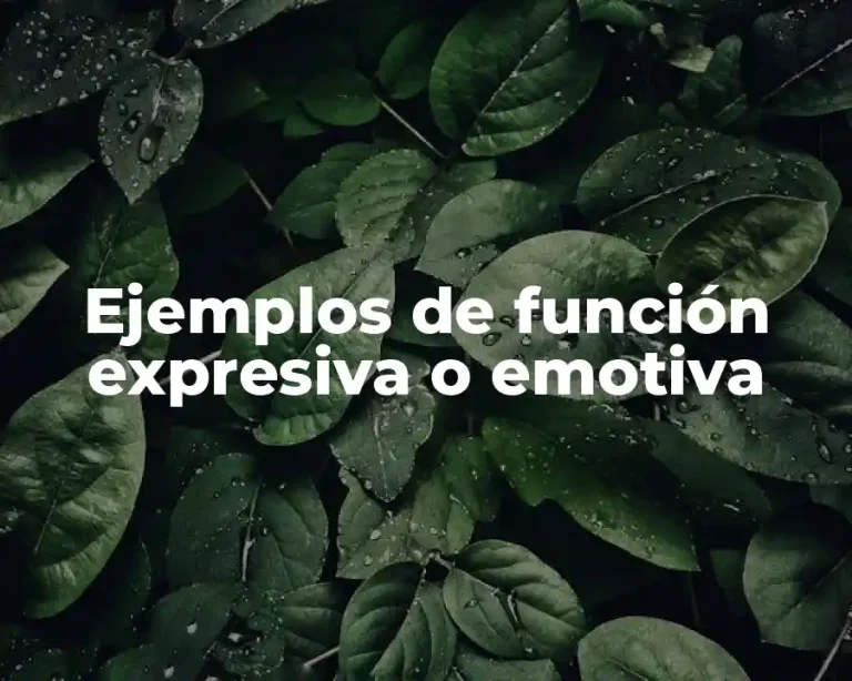 Ejemplos de función expresiva o emotiva