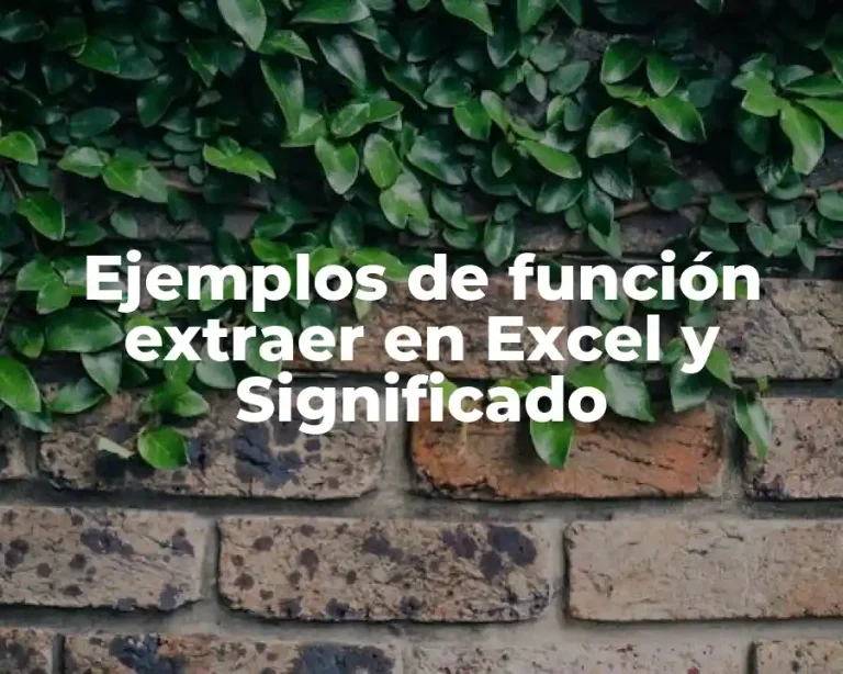 Ejemplos de función extraer en Excel y Significado