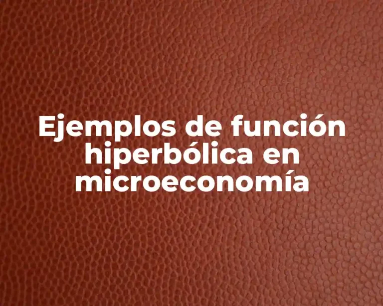 Ejemplos de función hiperbólica en microeconomía