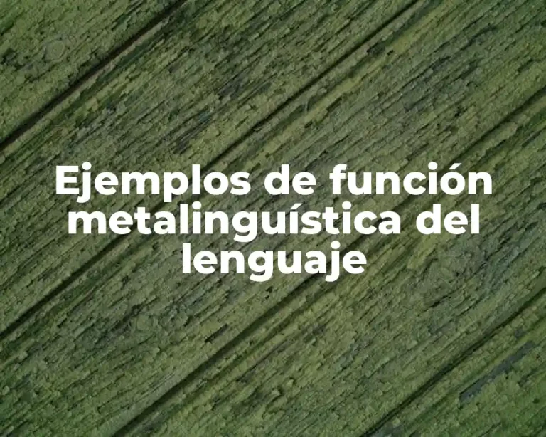 Ejemplos de función metalinguística del lenguaje
