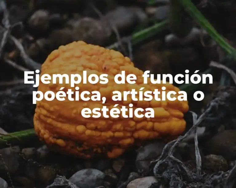 Ejemplos de función poética, artística o estética