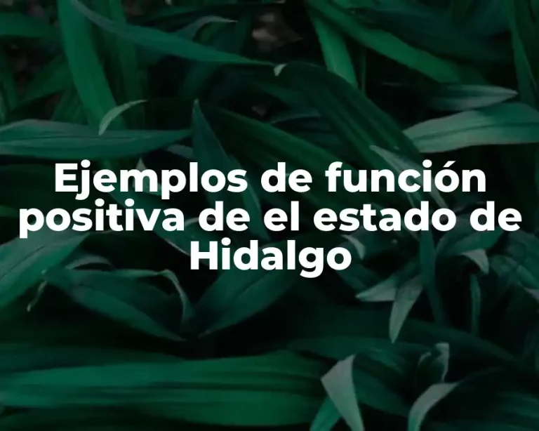 Ejemplos de función positiva de el estado de Hidalgo