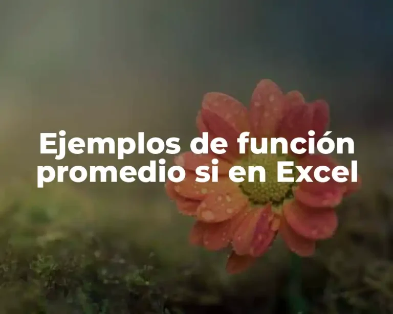 Ejemplos de función promedio si en Excel