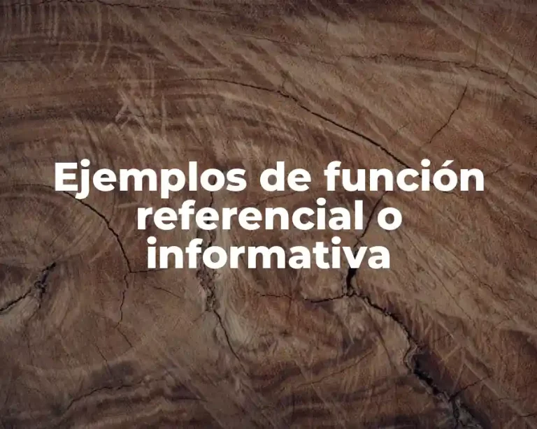 Ejemplos de función referencial o informativa