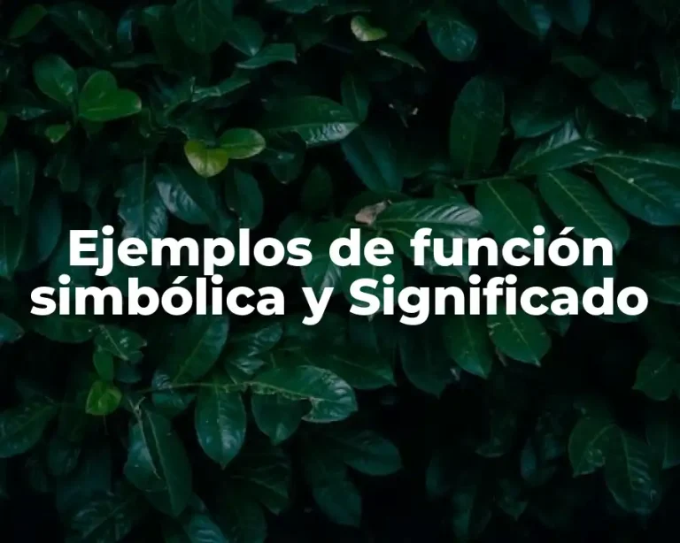Ejemplos de función simbólica y Significado