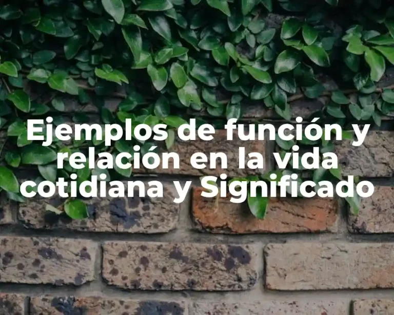 Ejemplos de función y relación en la vida cotidiana y Significado