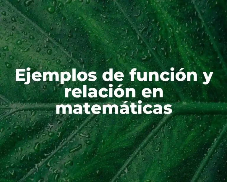 Ejemplos de función y relación en matemáticas