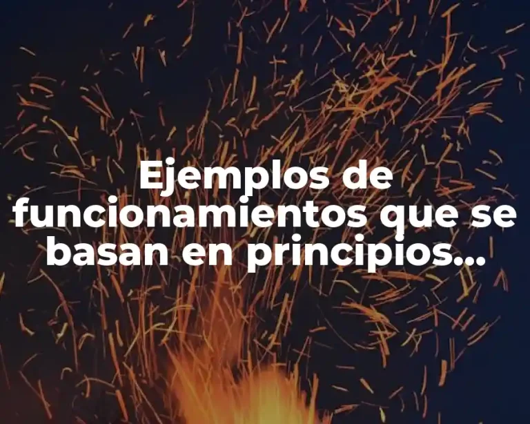 Ejemplos de funcionamientos que se basan en principios fisicos