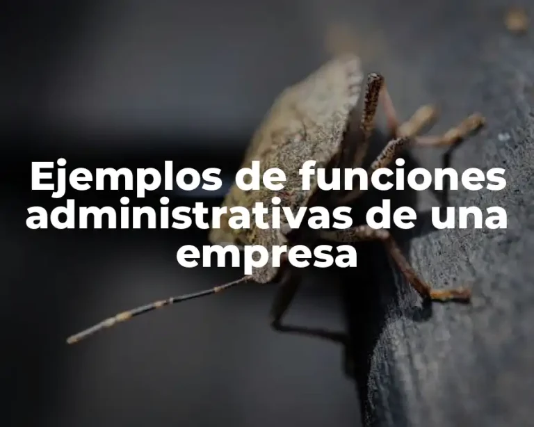 Ejemplos de funciones administrativas de una empresa