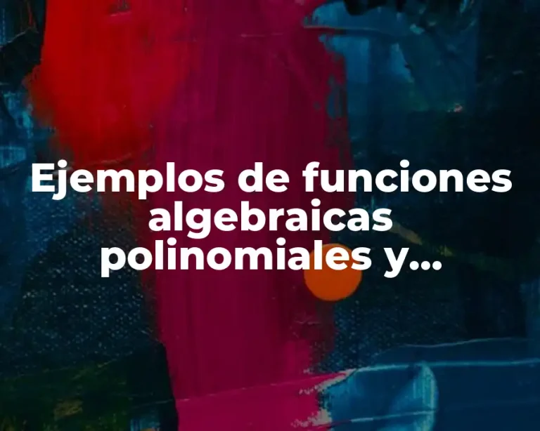 Ejemplos de funciones algebraicas polinomiales y Significado