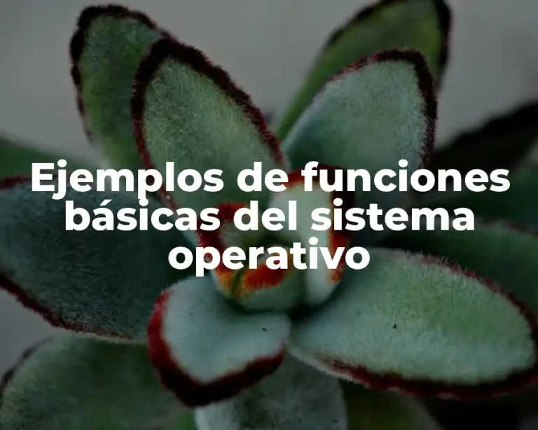Ejemplos de funciones básicas del sistema operativo