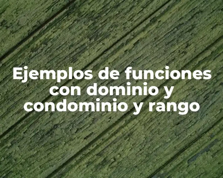 Ejemplos de funciones con dominio y condominio y rango
