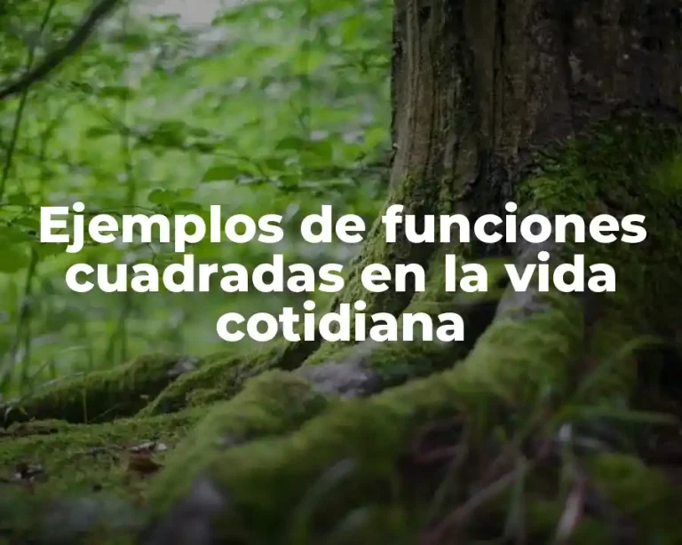 Ejemplos de funciones cuadradas en la vida cotidiana