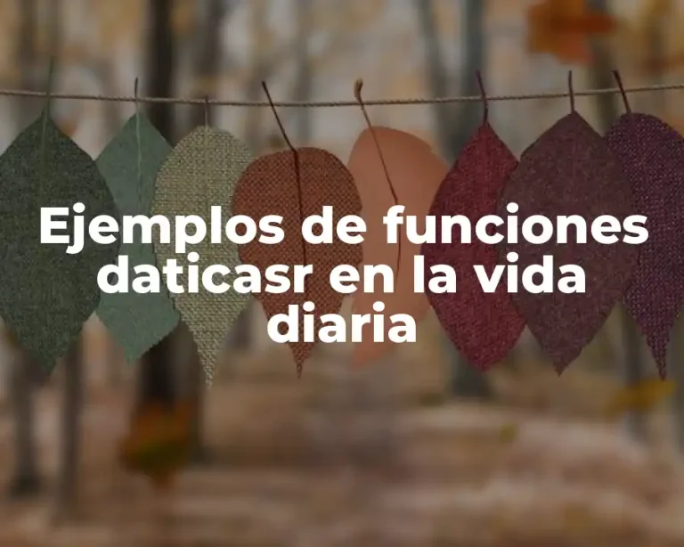 Ejemplos de funciones daticasr en la vida diaria