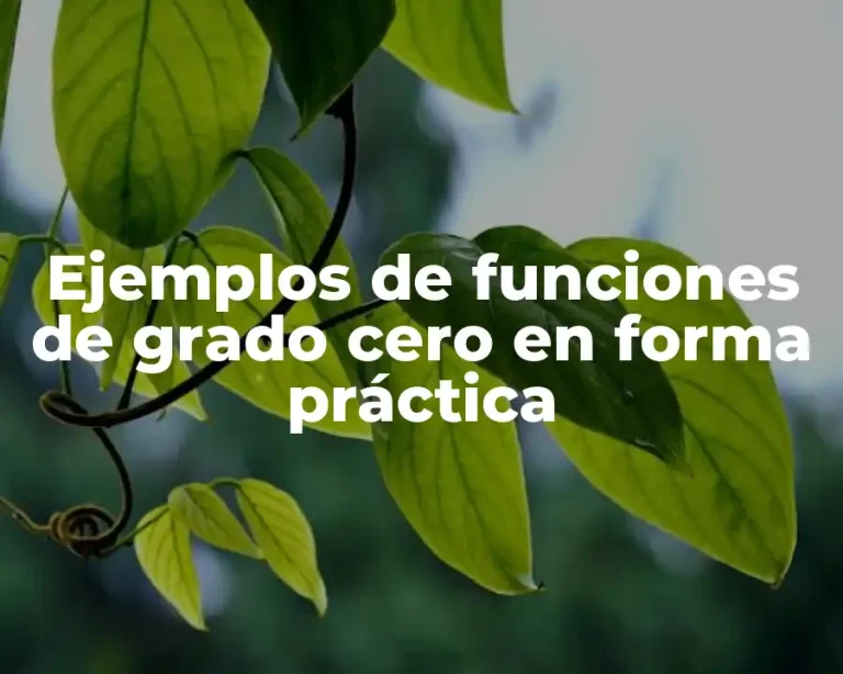Ejemplos de funciones de grado cero en forma práctica