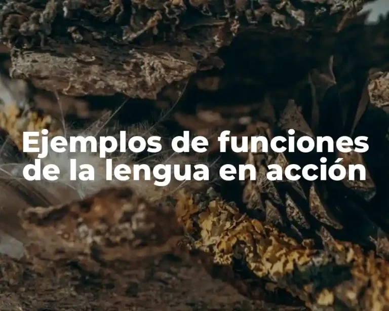 Ejemplos de funciones de la lengua en acción